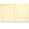 n°9617 - Carte Illustrateur - Fritz Baumgarten - Meissner serie 2269 - Jeune Hollandaise