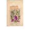 n°9701 - Carte Brodée - Iris + carte