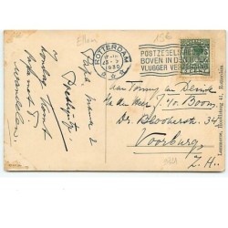 n°9721 - Ellam - Couple d'ours bruns