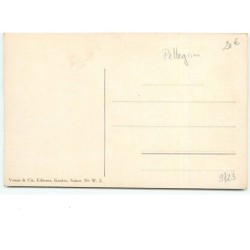 n°9723 - Pellegrini - Deux Hommes et une Femme sur des skis