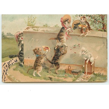 n°9764 - Carte Illustrateur - Maurice Boulanger - Chats Habillés montant sur un mur