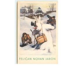 n°12593 - Felican novan...