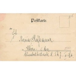 n°25261 - Fantaisie -  Theo Stroefer's Serie VIII n 5552 - Portraits de femmes, et feuilles de houx