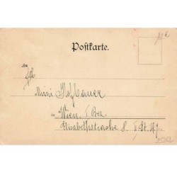 n°25262 - Fantaisie - Theo Stroefer's Serie VIII n 5557 - Portraits de femmes, et fleurs