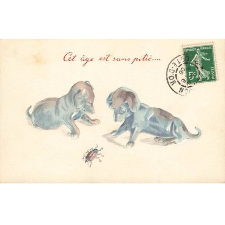 n°25599 - Carte Gaufrée - Teckel - Dackel - Hanneton