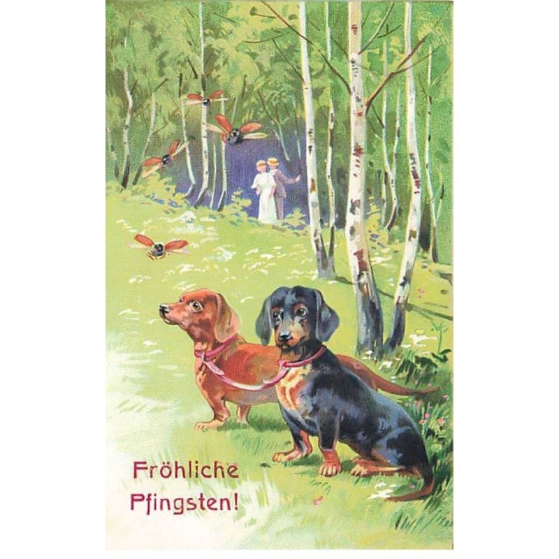 n°25638 - Carte Gaufrée - Fröhliche Pfingsten - Teckels regardant des Hannetons - Dackel