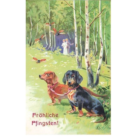n°25638 - Carte Gaufrée - Fröhliche Pfingsten - Teckels regardant des Hannetons - Dackel