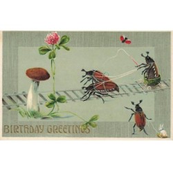 n°25646 - Carte Gaufrée -...