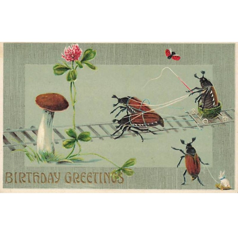 n°25646 - Carte Gaufrée - Birthday Greeting - Hannetons, champignon