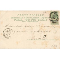 n°25734 - Fantaisie - Clapsaddle - Un ange gardien avec des fleurs sous un nuit étoilée