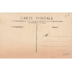 n°25828 - Animaux - Carte dessinée - Une Chouette veillant sur ses petits dans un lit
