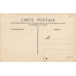 n°25829 - Animaux - Carte dessinée - Une chouette veillant sur ses petits partant jouer