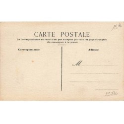 n°25830 - Carte Peinte à la Main - Couple de Perroquets habillés