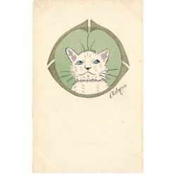 n°25831 - Adym - Chat blanc...