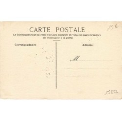 n°25832 - Adym - Chat blanc avec la bouche ouverte dans un médaillon vert