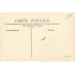 n°25836 - Adym - Chat blanc faisant la tête dans un médaillon vert
