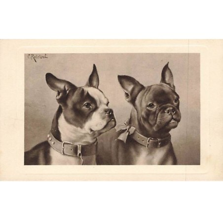 n°25841 - Animaux - Chiens - C. Reichert - Deux bouledogues français
