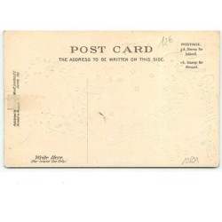 n°12691 - Carte Gaufrée - Compliments of the Season - Ange