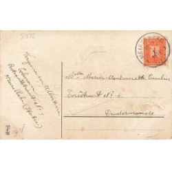 n°26165 - Carte Gaufrée - MSIB 14154 - Bonne Année - Anges envoyant des fleurs avec un canon