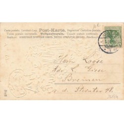 n°26174 - Carte Gaufrée - Nouvel An - MSIB 13551 - Fillette portant un cochon, champignon
