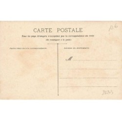 n°26203 - Fantaisie - Jeune femme portant un voile sur la tête, au milieu de fleur
