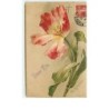 n°12772 - Carte Gaufrée - C. Klein - Bonne Fête - Tulipe