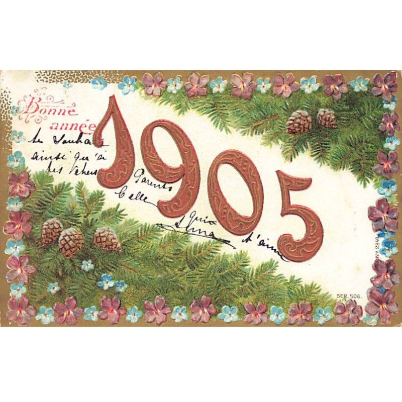 n°26262 - Carte Gaufrée - Bonne Année 1905 - Fleurs et branches de sapin