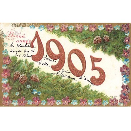 n°26262 - Carte Gaufrée - Bonne Année 1905 - Fleurs et branches de sapin