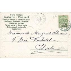 n°26262 - Carte Gaufrée - Bonne Année 1905 - Fleurs et branches de sapin
