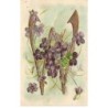 n°26284 - Carte Gaufrée - Fantaisie - Alphabet - Lettre W - Violettes