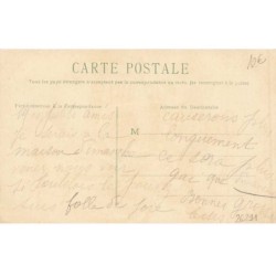 n°26291 - Fantaisie - Animaux habillés - Couple de chats conduisant une voiture - cat