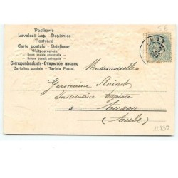 n°12839 - Carte Gaufrée - 1905 - Guirlande de fleurs