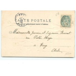 n°12840 - Carte Gaufrée - Bonne année 1905 - Hirondelles