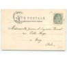 n°12840 - Carte Gaufrée - Bonne année 1905 - Hirondelles