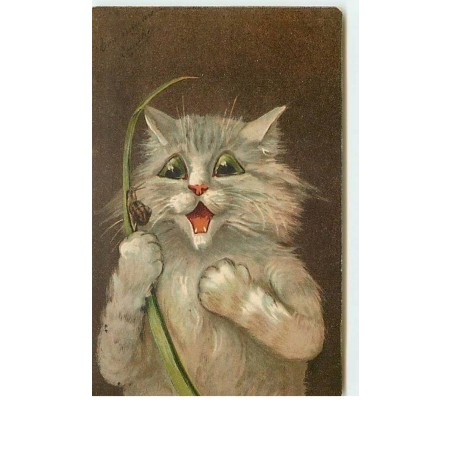 n°12868 - M. Boulanger - Chat regardant un escargot sur un brin d'herbe