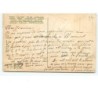 n°12895 - Carte Gaufrée - Enfant dans des fleurs bleues