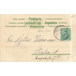 n°26758 - MSIB 12959 - Fröhliche Weihnachten - Faon près d'une jeune fille portant un sapin