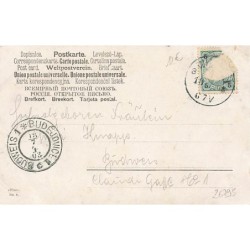 n°26795 - Fantaisie - Famille de champignons humanisés - Surréalisme