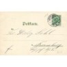 n°26809 - Nouvel An - Stroefer's serie VI n°5435 - Fillettes portant un parchemin