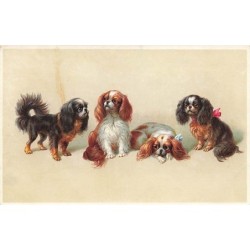 n°26861 - Animaux - MM...