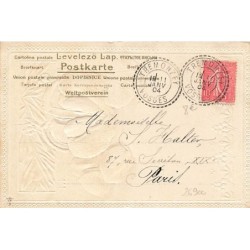 n°26900 - Carte Gaufrée - Fantaisie - Orange ouverte près de châtaignes
