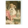 n°12937 - Carte Gaufrée - Fillette lavant des chiots