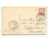 n°12937 - Carte Gaufrée - Fillette lavant des chiots