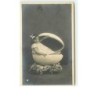 n°12942 - Fillette assise dans un oeuf
