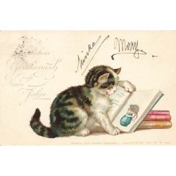 n°26949 - Animaux habillés...