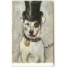 n°12956 - Chien portant un haut de forme et fumant un cigare