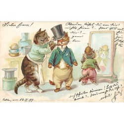 n°27048 - Animaux Habillés...