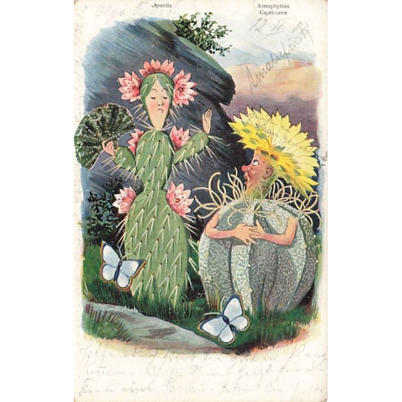 n°27099 - Fantaisie - Astrophytum Capricorne - Cactus humanisés