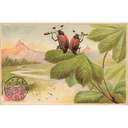 n°27185 - Carte Gaufrée -...