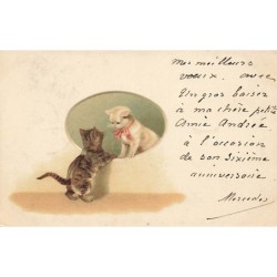 n°27186 - Animaux - Chat -...
